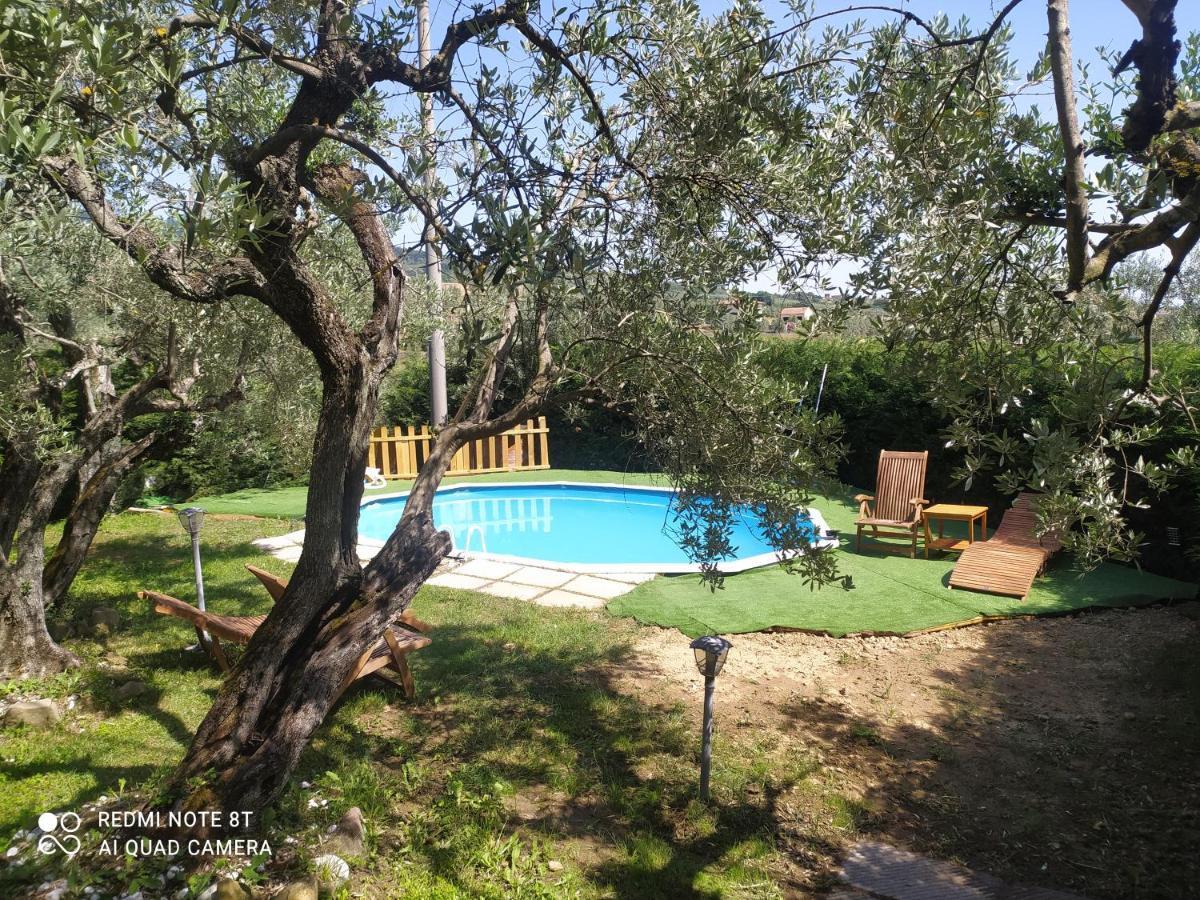 Apartament Il Borgo Dei Pini Vinci Zewnętrze zdjęcie