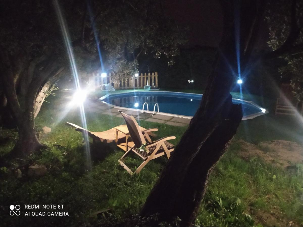 Apartament Il Borgo Dei Pini Vinci Zewnętrze zdjęcie