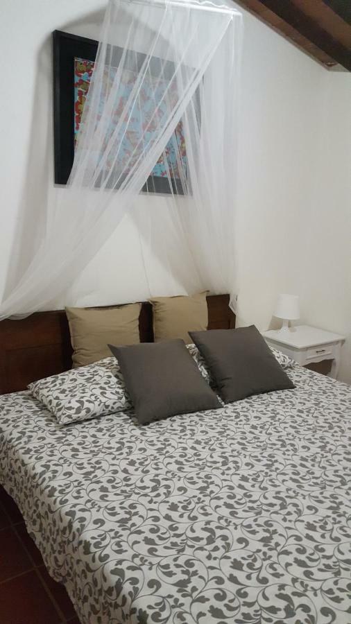 Apartament Il Borgo Dei Pini Vinci Zewnętrze zdjęcie