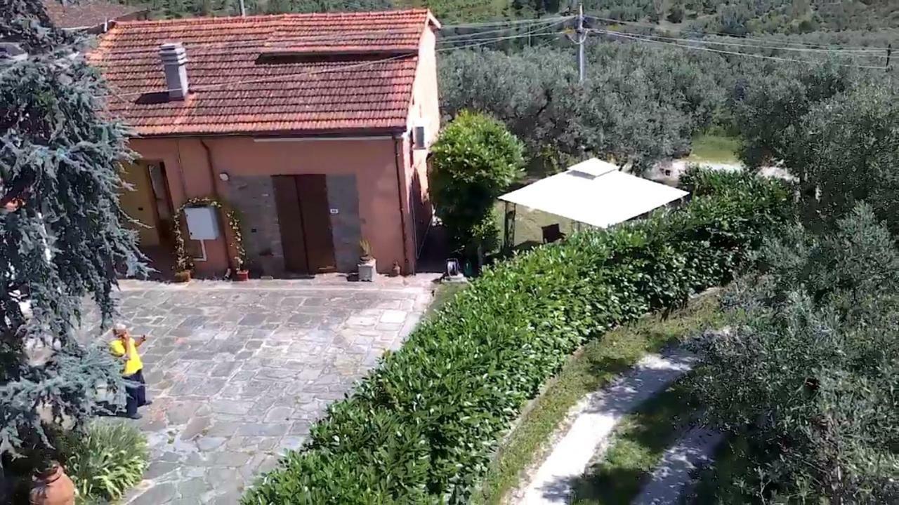 Apartament Il Borgo Dei Pini Vinci Zewnętrze zdjęcie