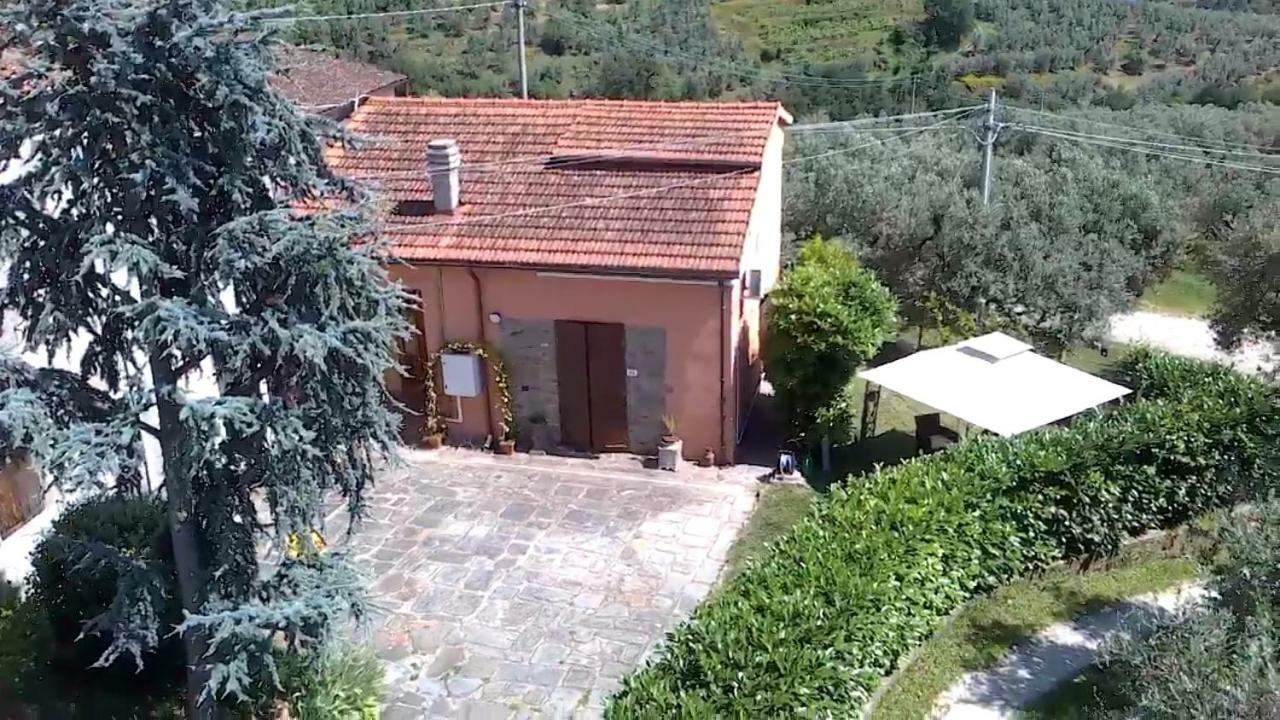 Apartament Il Borgo Dei Pini Vinci Zewnętrze zdjęcie